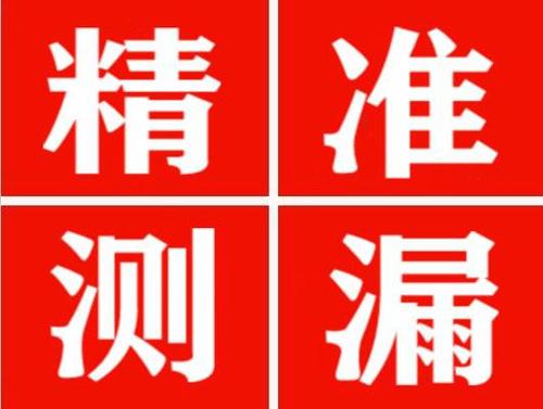 多文镇尚嘉漏水精准查找